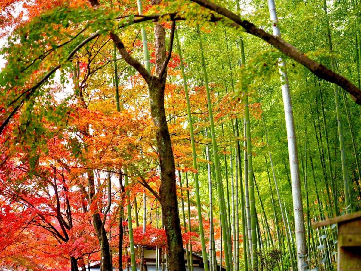 Kyoto Yadomachi Nishijin Quioto Exterior foto